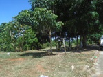 Rua Neuza Maria Mendes Tonin, bairro Serra Verde