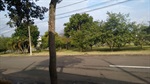 Limpeza de praça no bairro Caxambu aumenta a segurança dos usuários