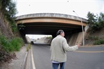 Viaduto da avenida Euclides de Figueiredo, que liga os bairros Jardim Castor  ao Jardim Maria Helena.