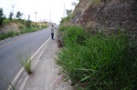 Mato e terra estão cobrindo toda a calçada, fazendo com que os pedestres tenham que caminhar pela pista.