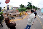 Ponte localizada ao final das ruas Altino Arantres com Oliveiro Porta, no bairro Jardim Maria Helena precisa ser demolida.