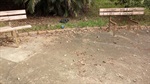 Antes, abandono e reclamações
