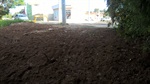 Paraná esteve no bairro Noiva da Colina