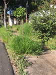Trechos da rua Itu sem condições de acesso