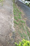 Moschini pede melhorias para a Praça Coronel Antonio Bruno no bairro Nova Piracicaba