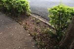Moschini pede melhorias para a Praça Coronel Antonio Bruno no bairro Nova Piracicaba