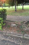 Moschini pede melhorias para a Praça Coronel Antonio Bruno no bairro Nova Piracicaba