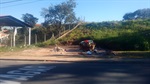 Caçamba preocupa vereador. Limpeza é saúde, disse Moschini 