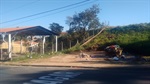 Caçamba preocupa vereador. Limpeza é saúde, disse Moschini 