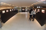 Ilustrando o passado e o presente, exposição "Janelas do Tempo" pode ser conferida no hall da Câmara