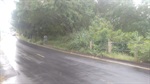 Antes