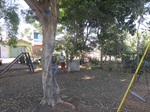 Ação da Sedema na praça do bairro Santa Ignês