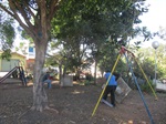Ação da Sedema na praça do bairro Santa Ignês