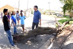 Kawai prestigia projeto ambiental de alunos da região do Monte Líbano