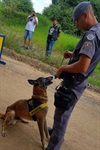 Vaccip organiza confraternização de fim de ano para crianças assistidas pela entidade