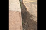 Esgoto retornava para as redes das casas no Bairro Noiva da Colina
