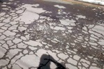 Buracos em rua dos Narcisos são alvo de requerimento de Moschini
