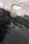Buracos em rua dos Narcisos são alvo de requerimento de Moschini