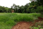 Foto mostra como estava a área verde antes de o pedido de Coronel Adriana ser atendido