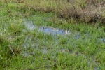 Acúmulo de água em terreno no Pau Queimado gera insegurança em proprietária