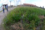 Acúmulo de água em terreno no Pau Queimado gera insegurança em proprietária