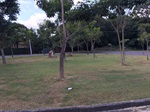Fotos revelam o depois