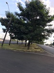 Fotos revelam o depois