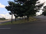 Fotos revelam o depois