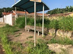 Antes: local próximo a ponto de circular urbano cercado pelo mato