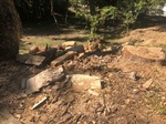 Área do Santa Rosa antes da visita da Sedema