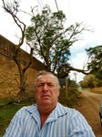 Galhos de árvores próximos a fios de alta tensão 