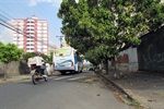Foto mostra como estavam as árvores antes de o pedido por poda ser atendido pela Sedema