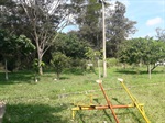 Praça no bairro Jardim Conceição, antes da capinação