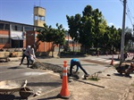 Semob atende pedido de Matheus Erler na Paulista