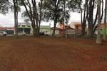 Foto mostra área verde já limpa para a instalação da academia ao ar livre