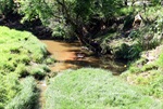 Longatto repete jornada ambiental com alunos na defesa do Corumbataí