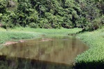 Longatto repete jornada ambiental com alunos na defesa do Corumbataí