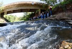 Longatto repete jornada ambiental com alunos na defesa do Corumbataí