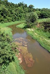 Longatto repete jornada ambiental com alunos na defesa do Corumbataí