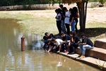 Longatto repete jornada ambiental com alunos na defesa do Corumbataí