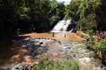 Longatto repete jornada ambiental com alunos na defesa do Corumbataí