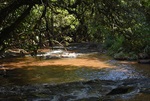 Longatto repete jornada ambiental com alunos na defesa do Corumbataí