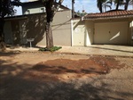 Foto (antes)