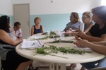 Comunidade aprendeu a fazer plantio de plantas medicinais 