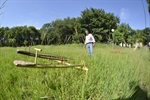 Vereador visitou os locais para verificar a situação em que as áreas verdes se encontram 