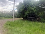 Foto mostra área verde que necessita de manutenção