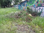 Varejão da rua Uchoa, no bairro São Francisco precisa de troca de vidros e fechaduras 