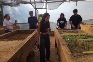 Vereador acompanha alunos da ETEC em visita ao Viveiro Municipal de Piracicaba