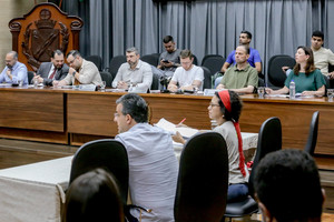 Audiência pública: projeto que altera Comdema recebe nova mensagem modificativa