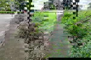 Vereador protocola indicações para melhorias urbanas no bairro Areião